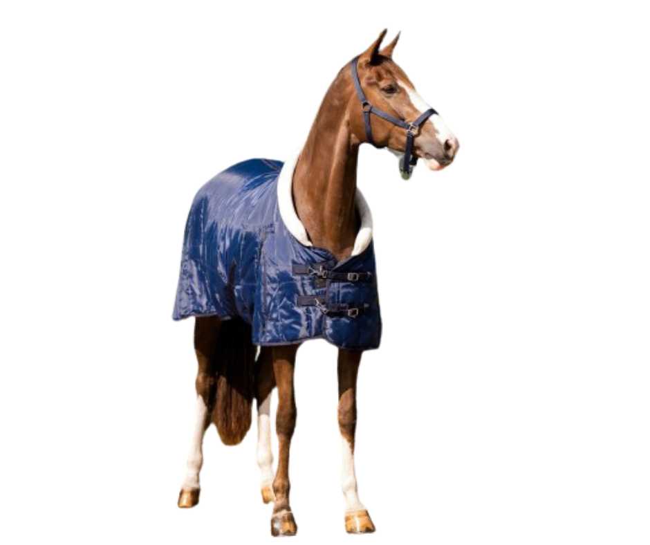 Basa horse rug