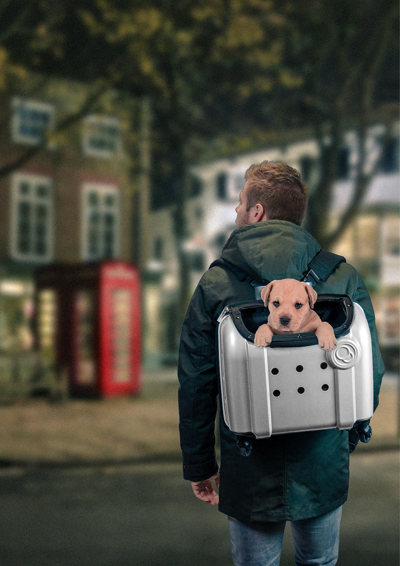 Trolley London 40 cm grey, cat, dog transport, travel, carrier