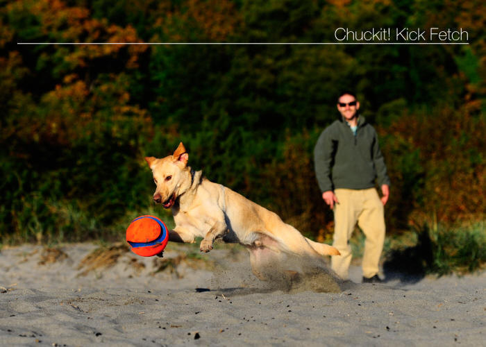 Kick Fetch 19 cm dog ball
