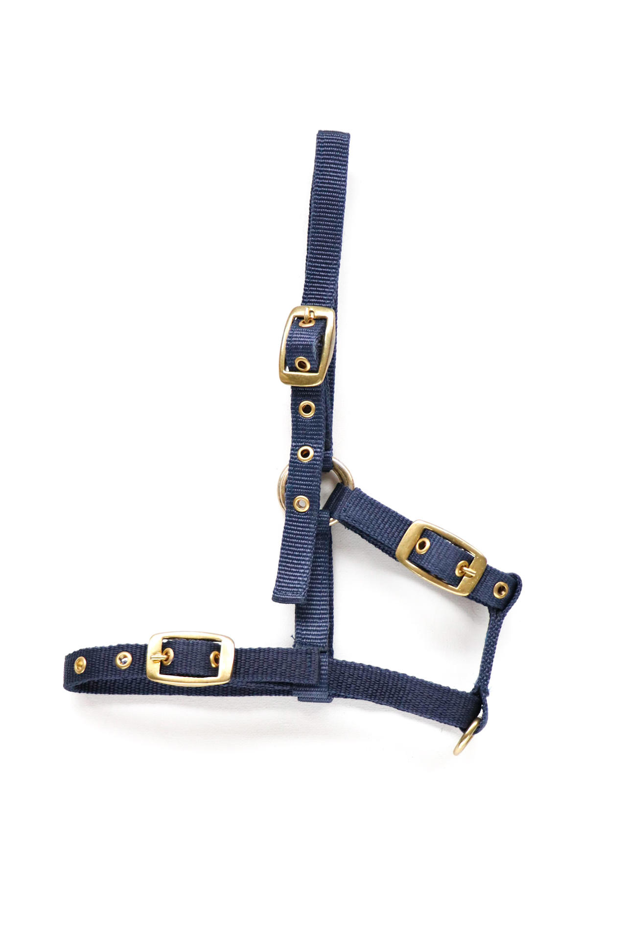 Amika headcollar