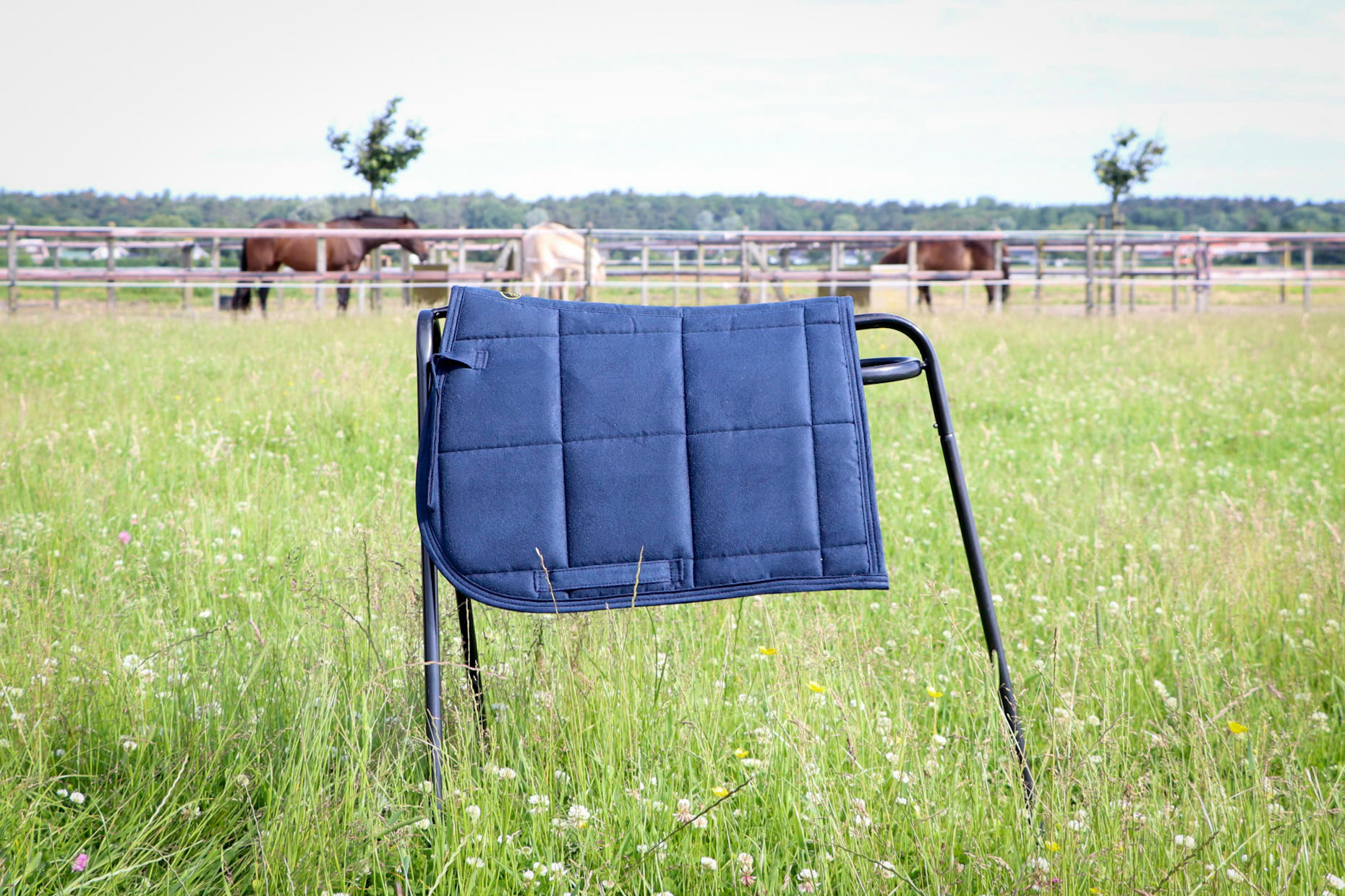 Saddle pads for Shetland pony