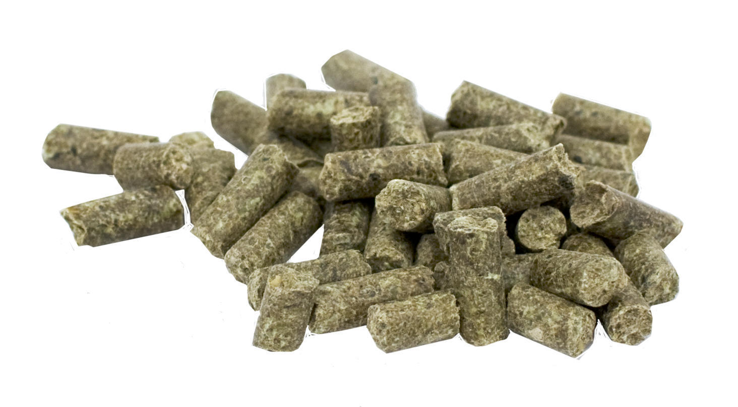 Poultry Parex bird parrot health vitamin