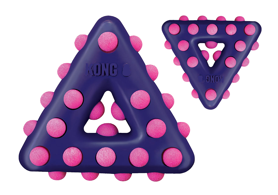 Dotz chew toy triangle small dog toy