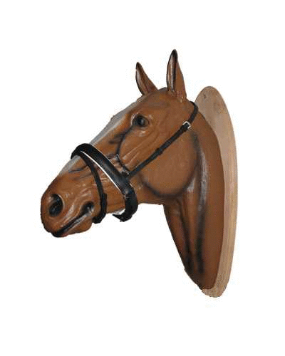 Bonfire bridle