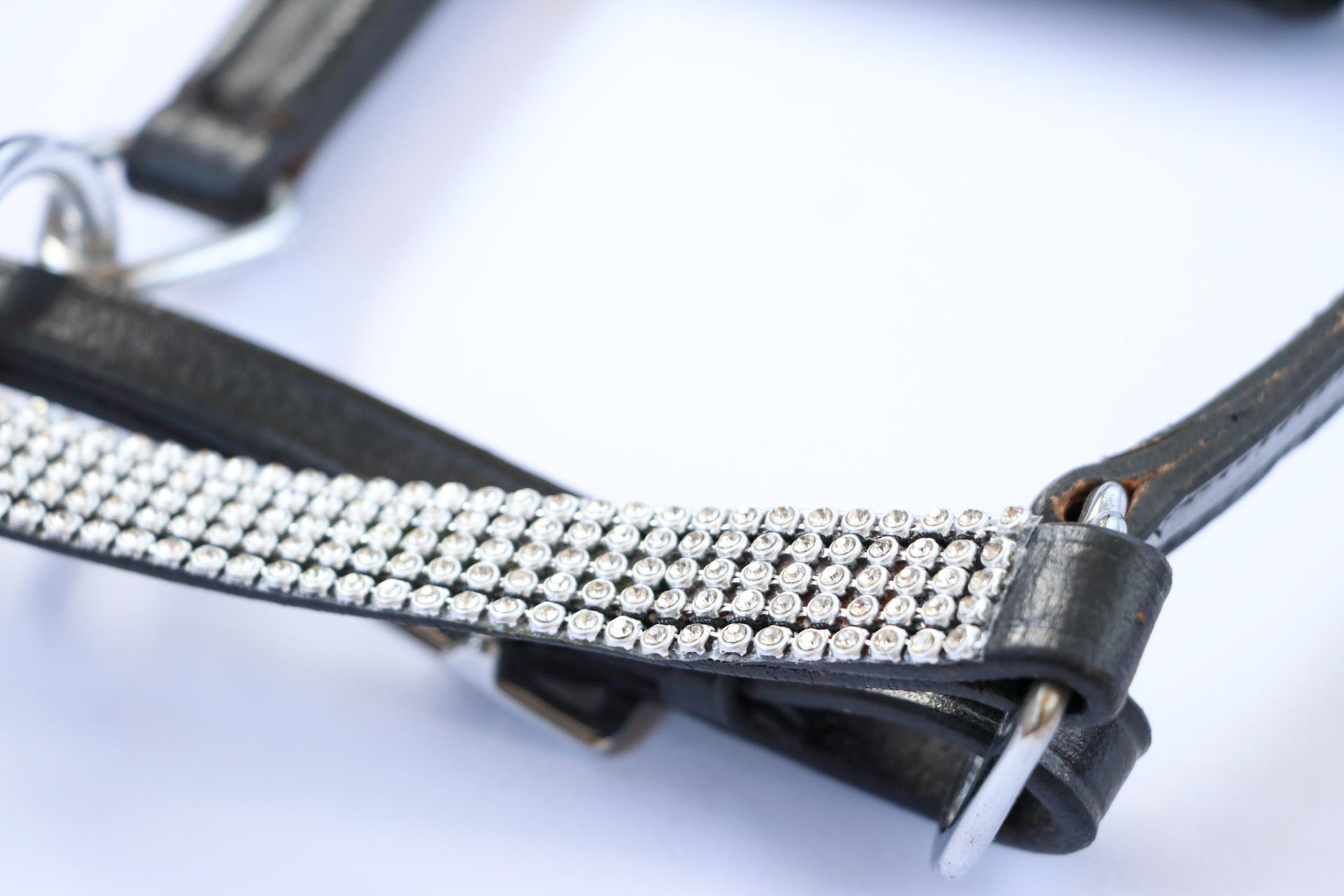 Ercano headcollar, halter for foal