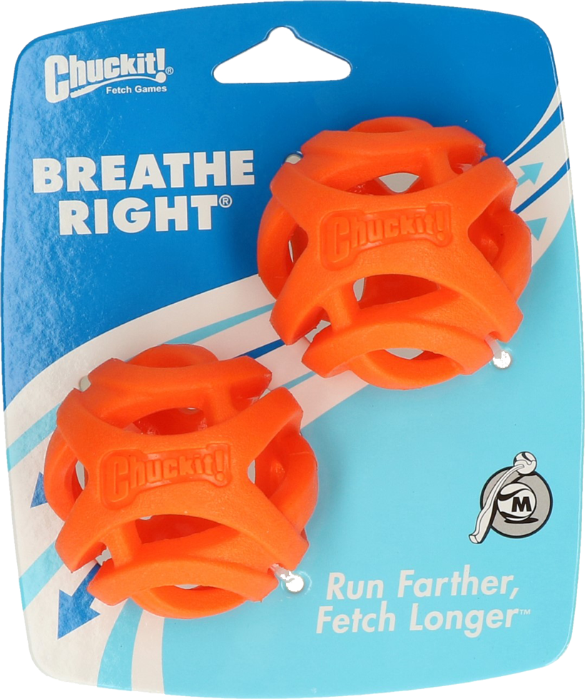 2pcs medium dog ball