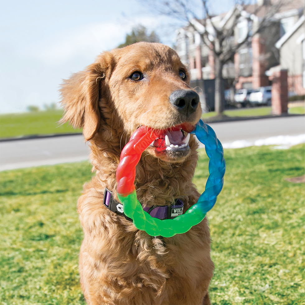 Twistz ring shaped toy large L dog toy