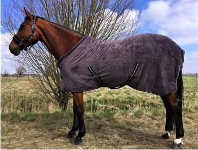 Coraly horse rug