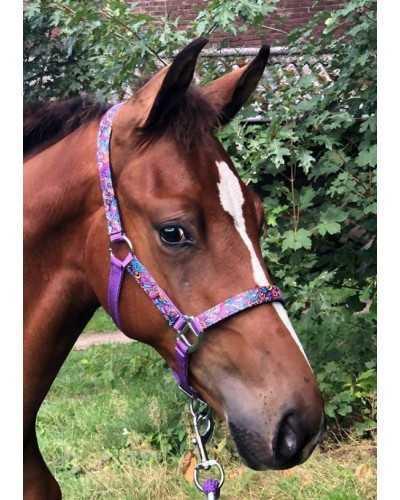 Fantasy Headcollar, halter