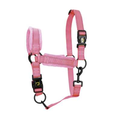 Monzo Headcollar, halter