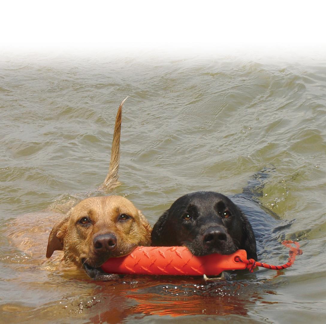 Training toy L 50,8 cm dog toy