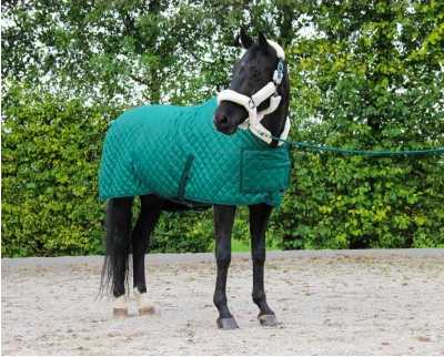 Showtime Desir horse rug