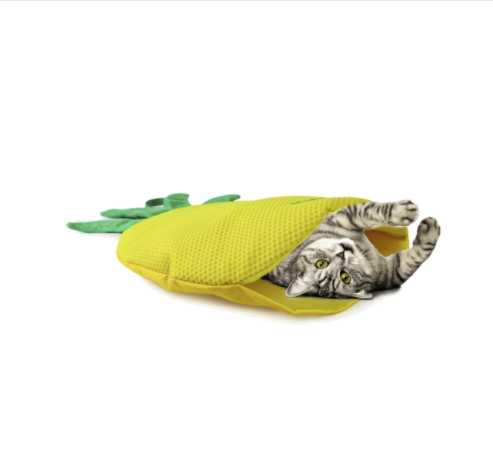Green Rush pineapple play mat for cats
