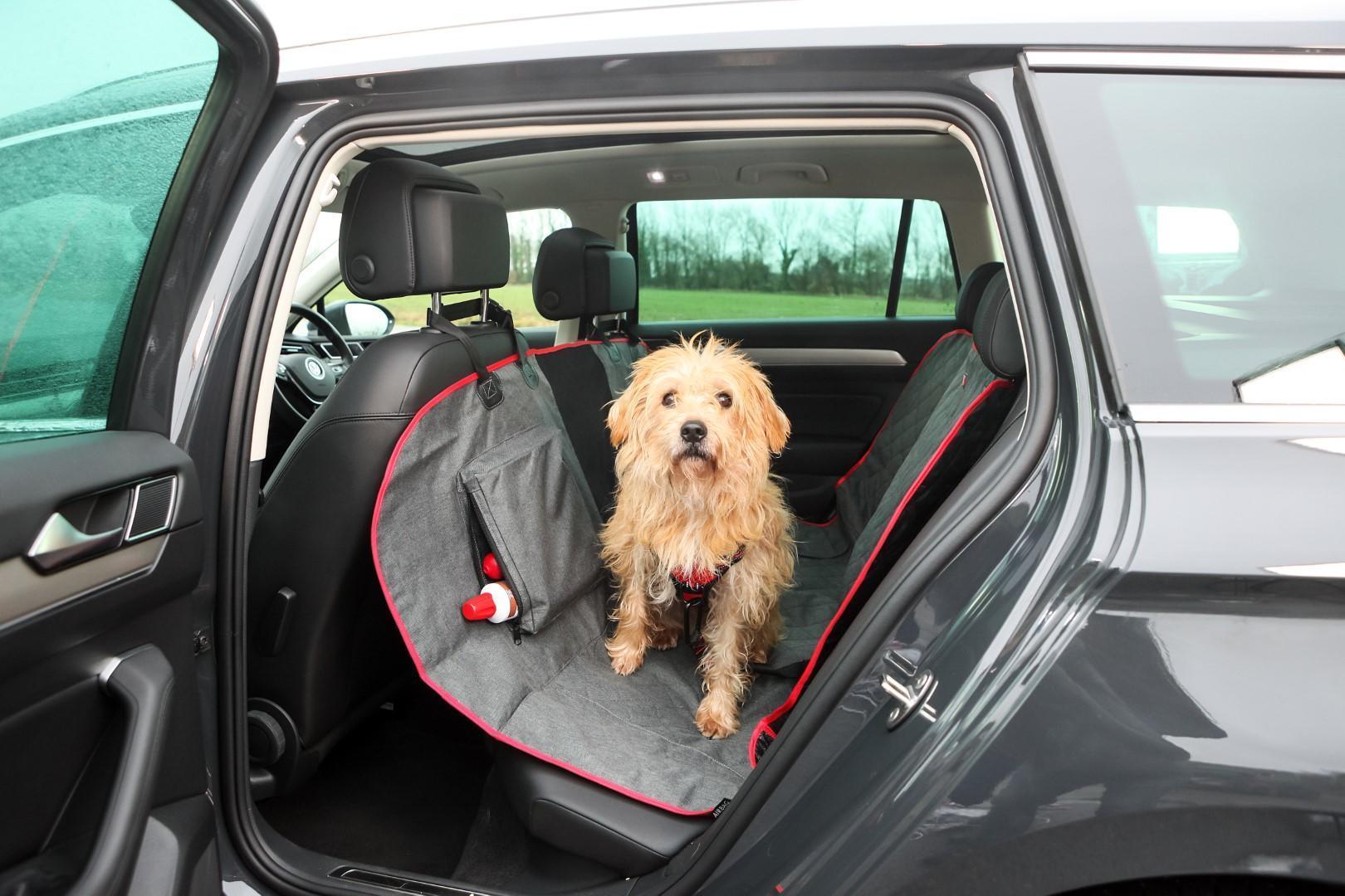 2in1 Car seat cover