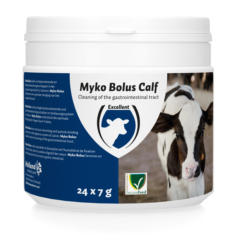 Myko Bolus Calf, cattle calf rearing
