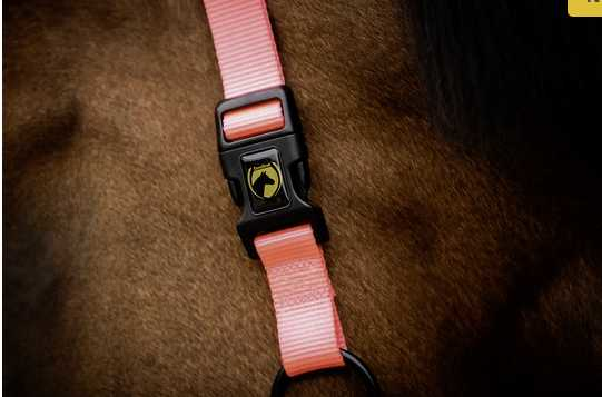 Monza Headcollar, halter