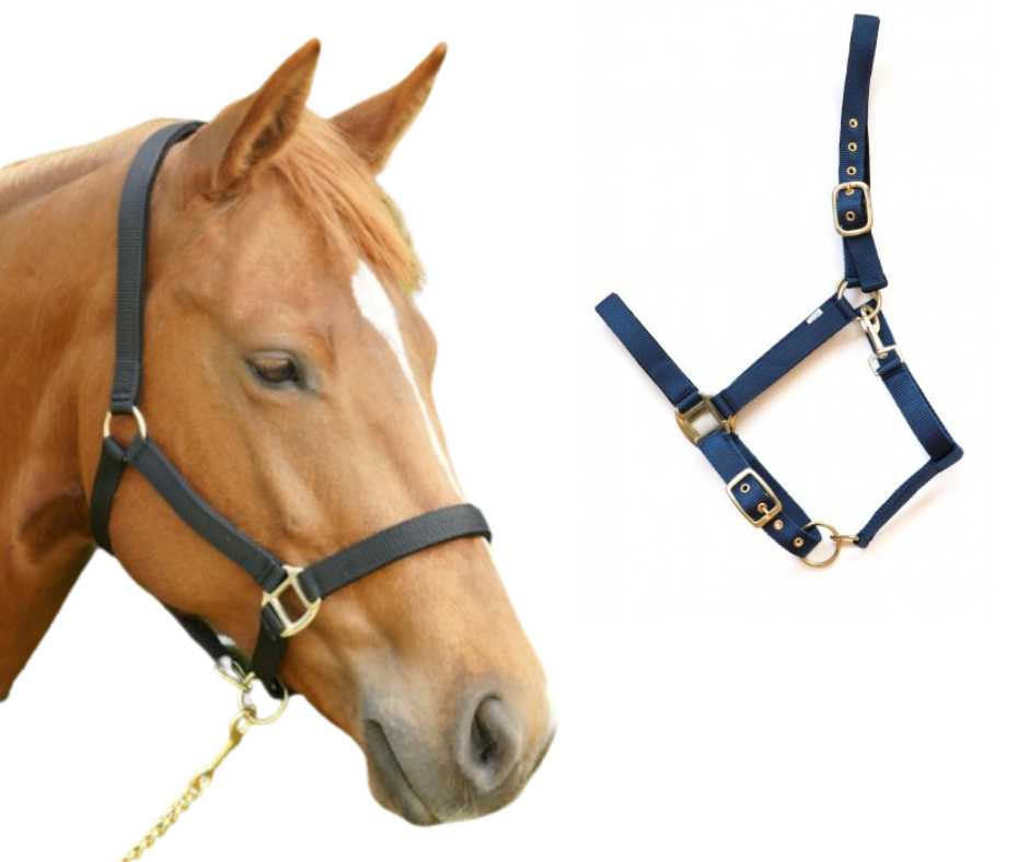 Reni headcollar, halter