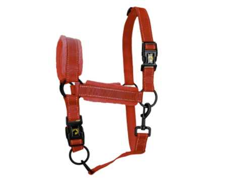 Monzo Headcollar, halter