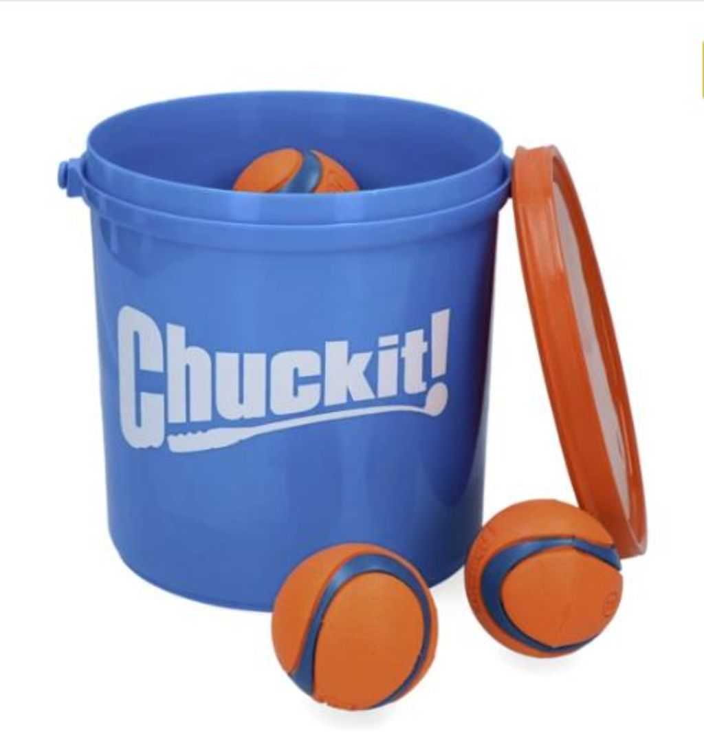 Bucket with balls for dogs