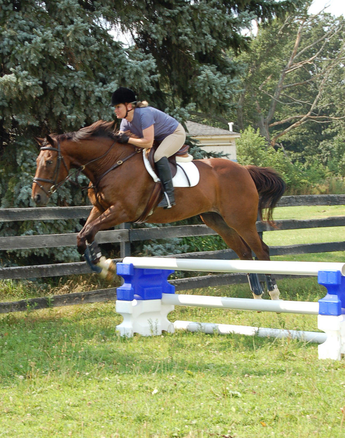 Jumping Block Training Tool