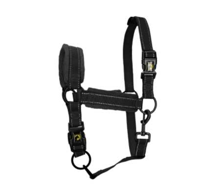 Monzo Headcollar, halter