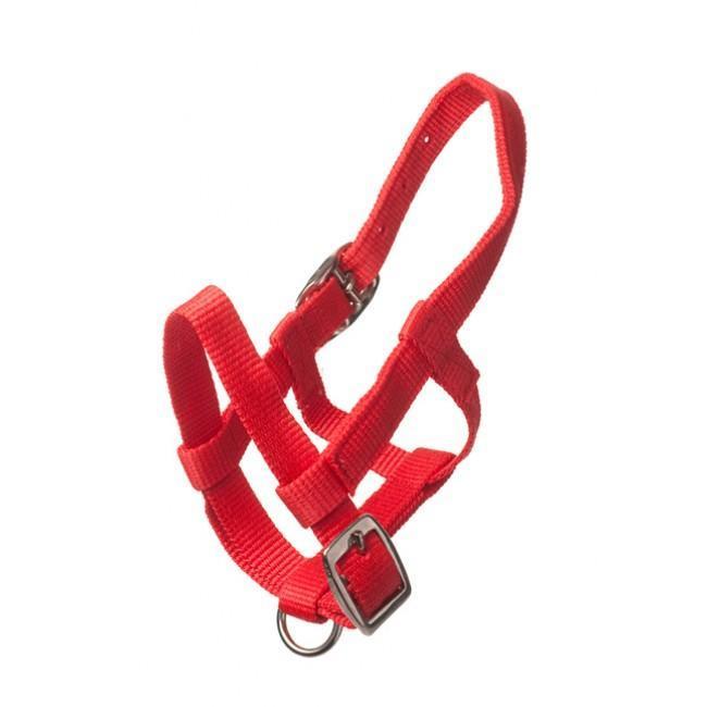 Adria Nylon headcollar