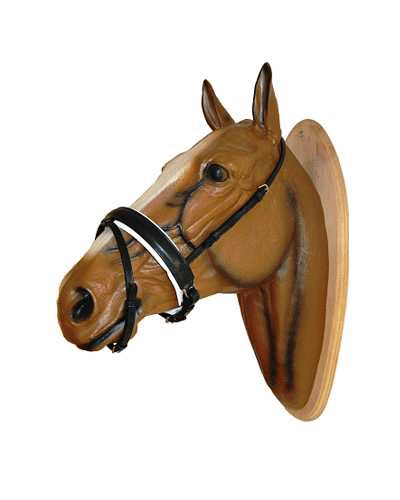 Bristol Bridle with extra wide noseband