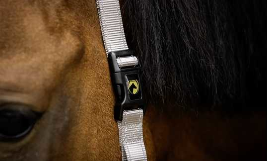 Monza Headcollar, halter