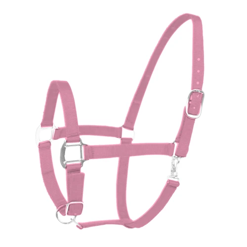 Dolly Headcollar and halter