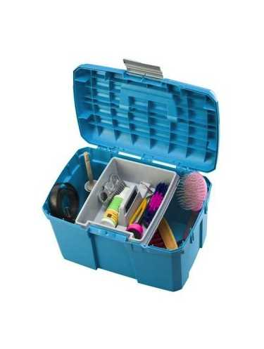 Luxe cleaning tool box for horse care