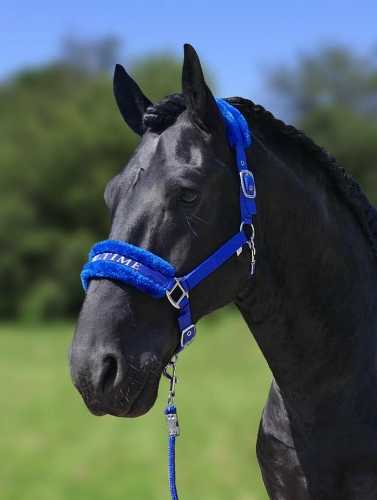Lauro Headcollar, halter