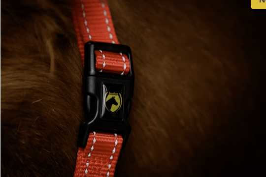 Monza Headcollar, halter