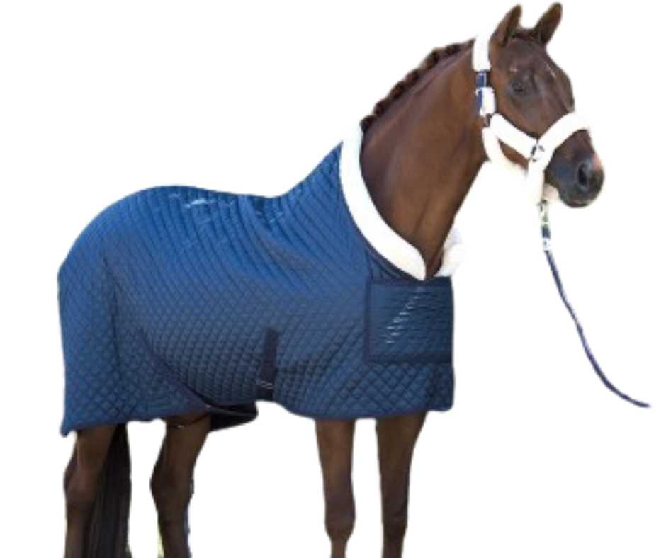 Showtime Desiro horse rug