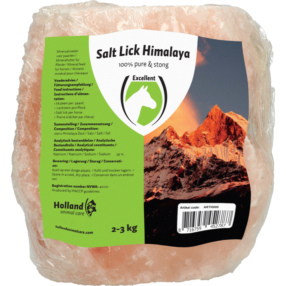 Himalaya salt lick