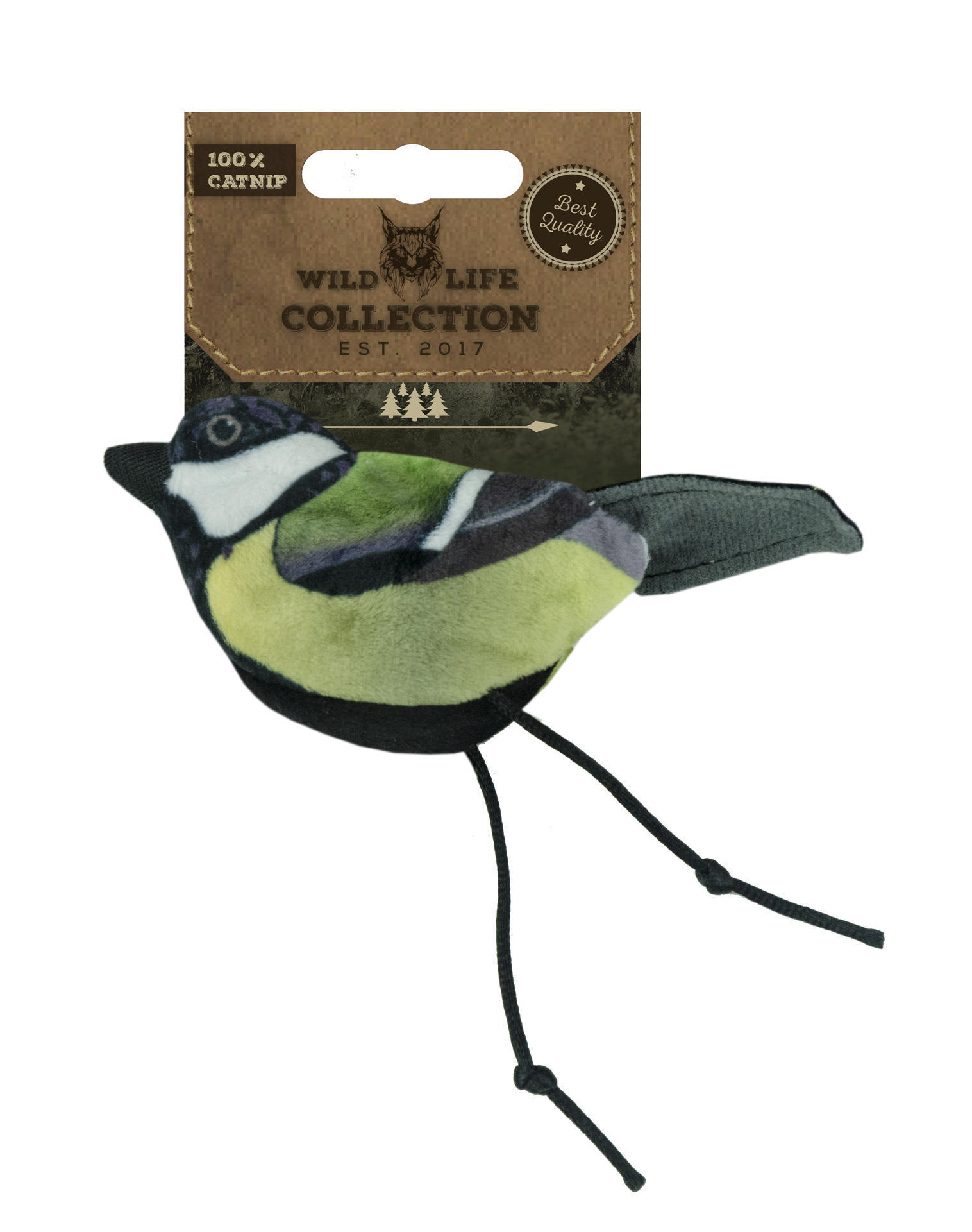 WIld Life Cat Great Tit