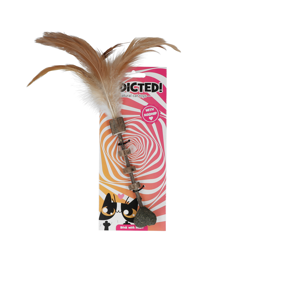 Hanging stick with heart and feather cat toy