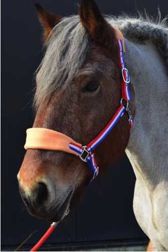 Paradiso Headcollar, halter XXFull