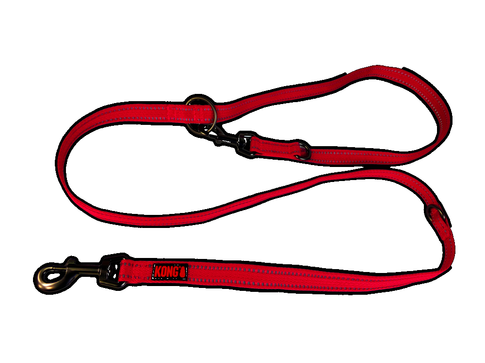 Adjustable base dog leash L Red