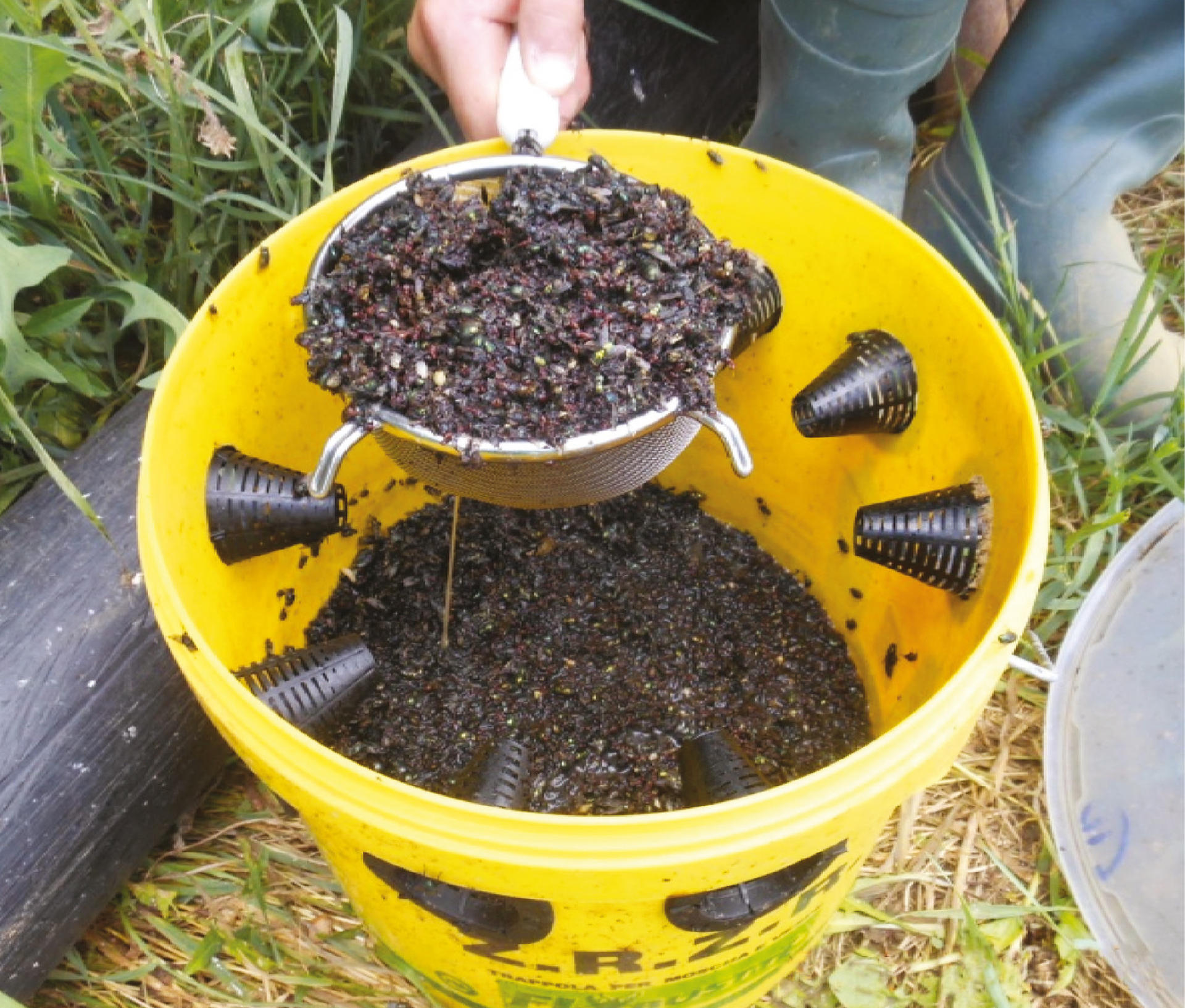 Trap bucket 6 l. excl bait