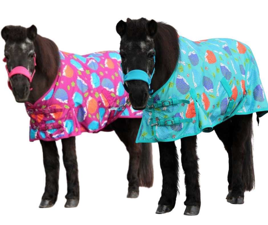 Harry and Hector Hedgehog Pony Rain rug