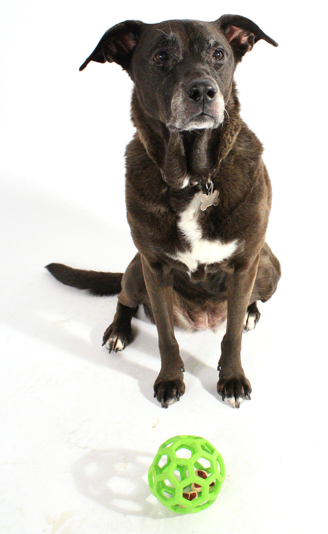 HOL-EE ROLLER S 9 cm