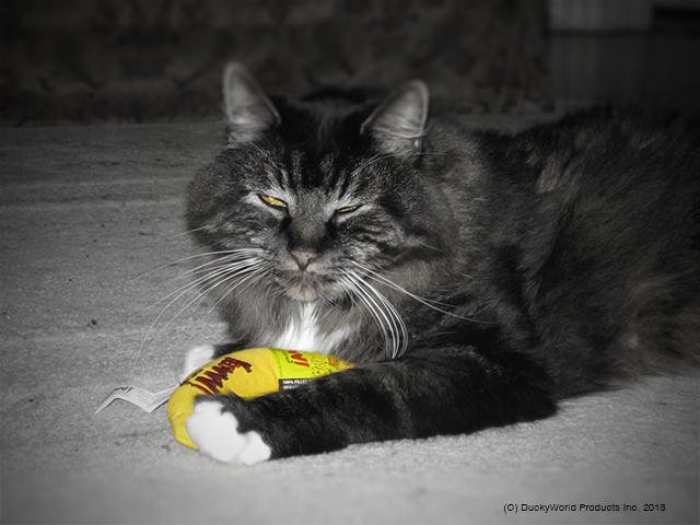 Chicata banana cat toy filled with catnip