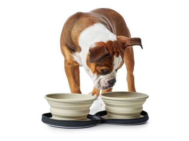 Travelling feeding bowl for dog