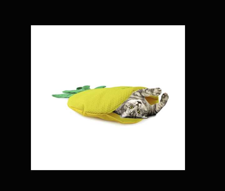 Green Rush strawberry play mat for cats