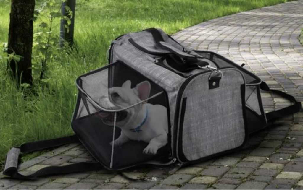 Rolling animal carrier