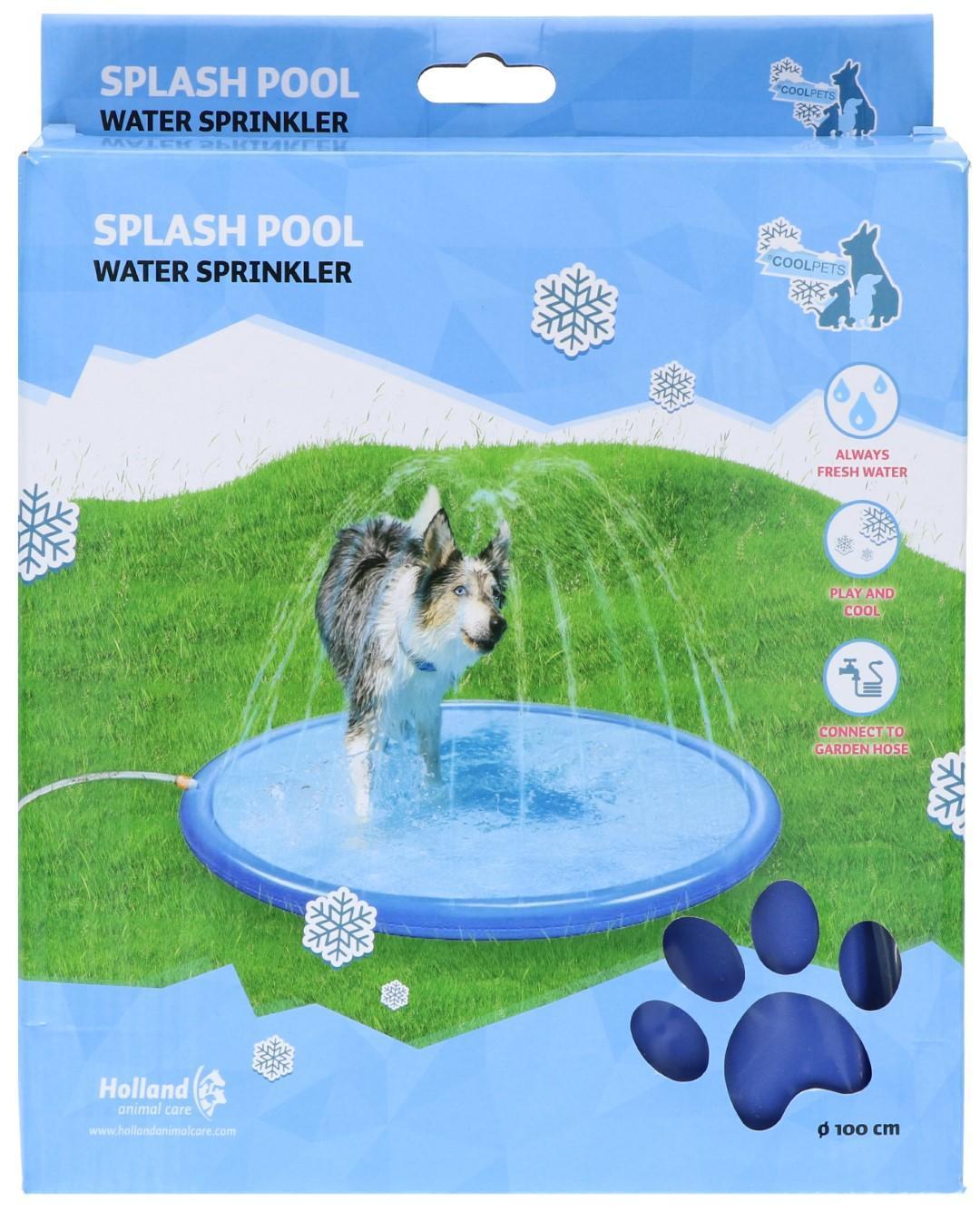 Splash Pool dog pool