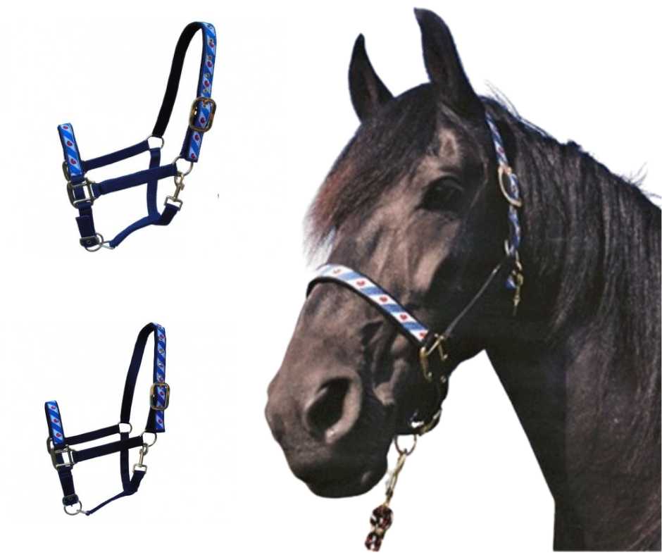 Gela Headcollar, halter