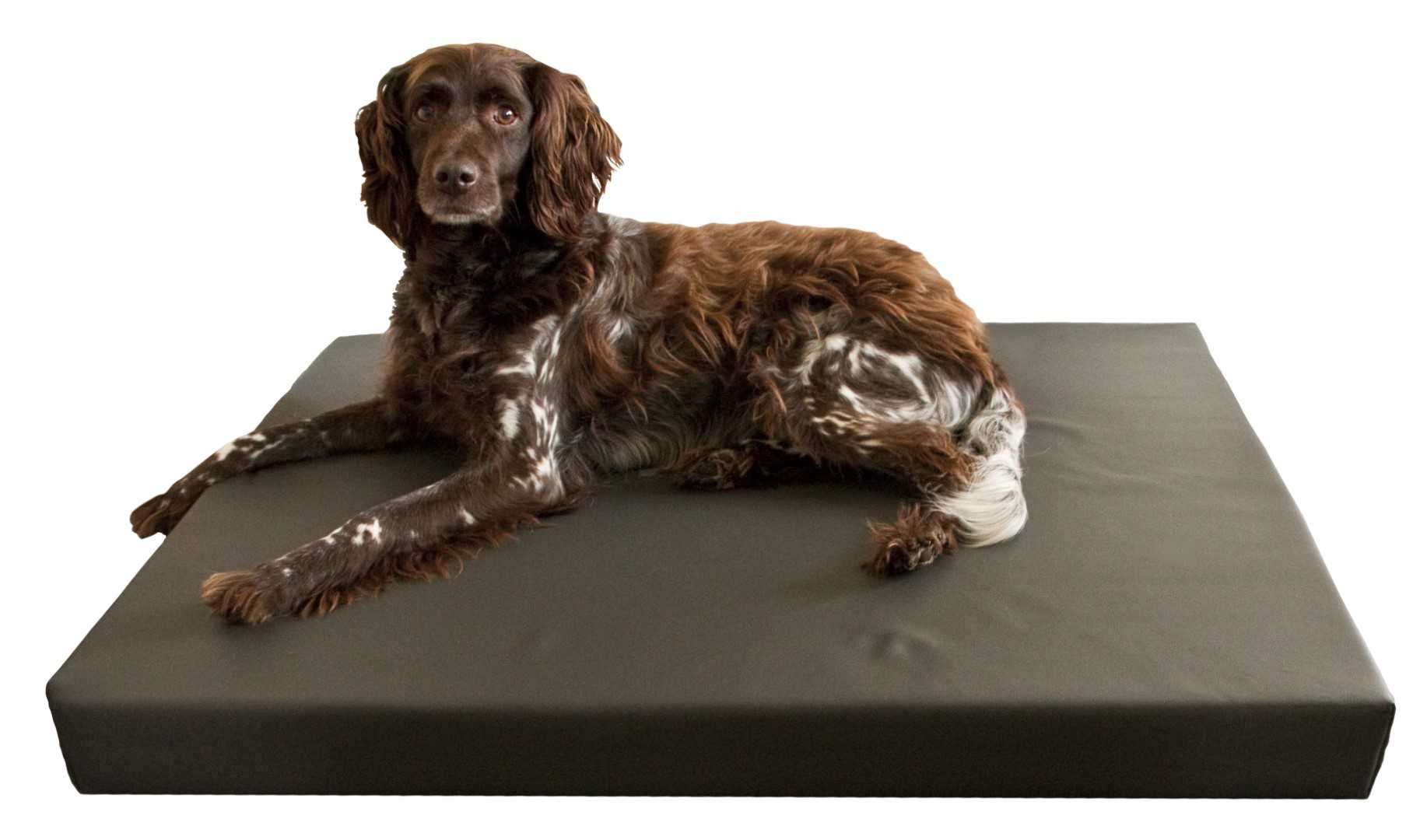 Orthopaedic dog bed L