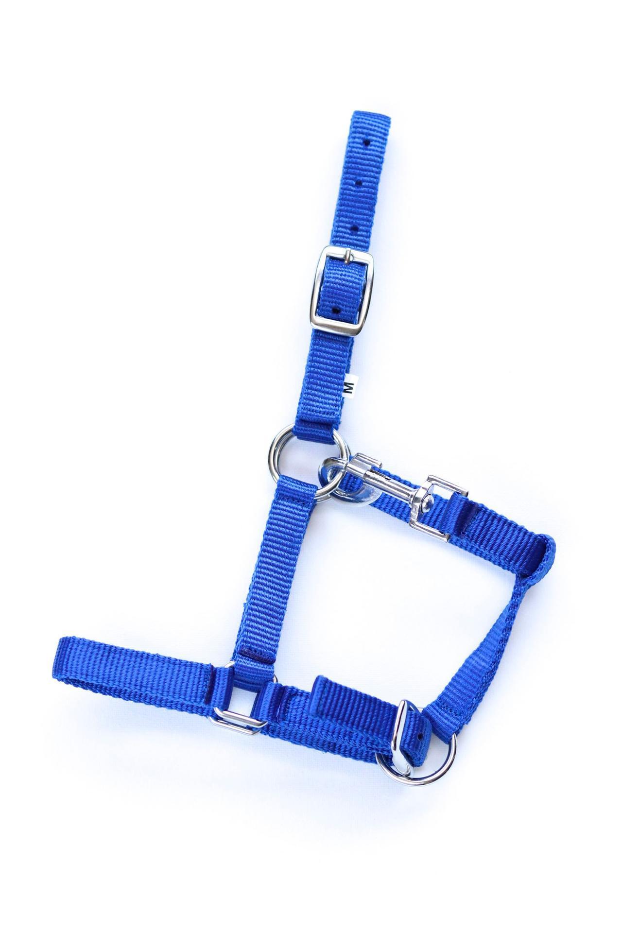 Astrid foal headcollar