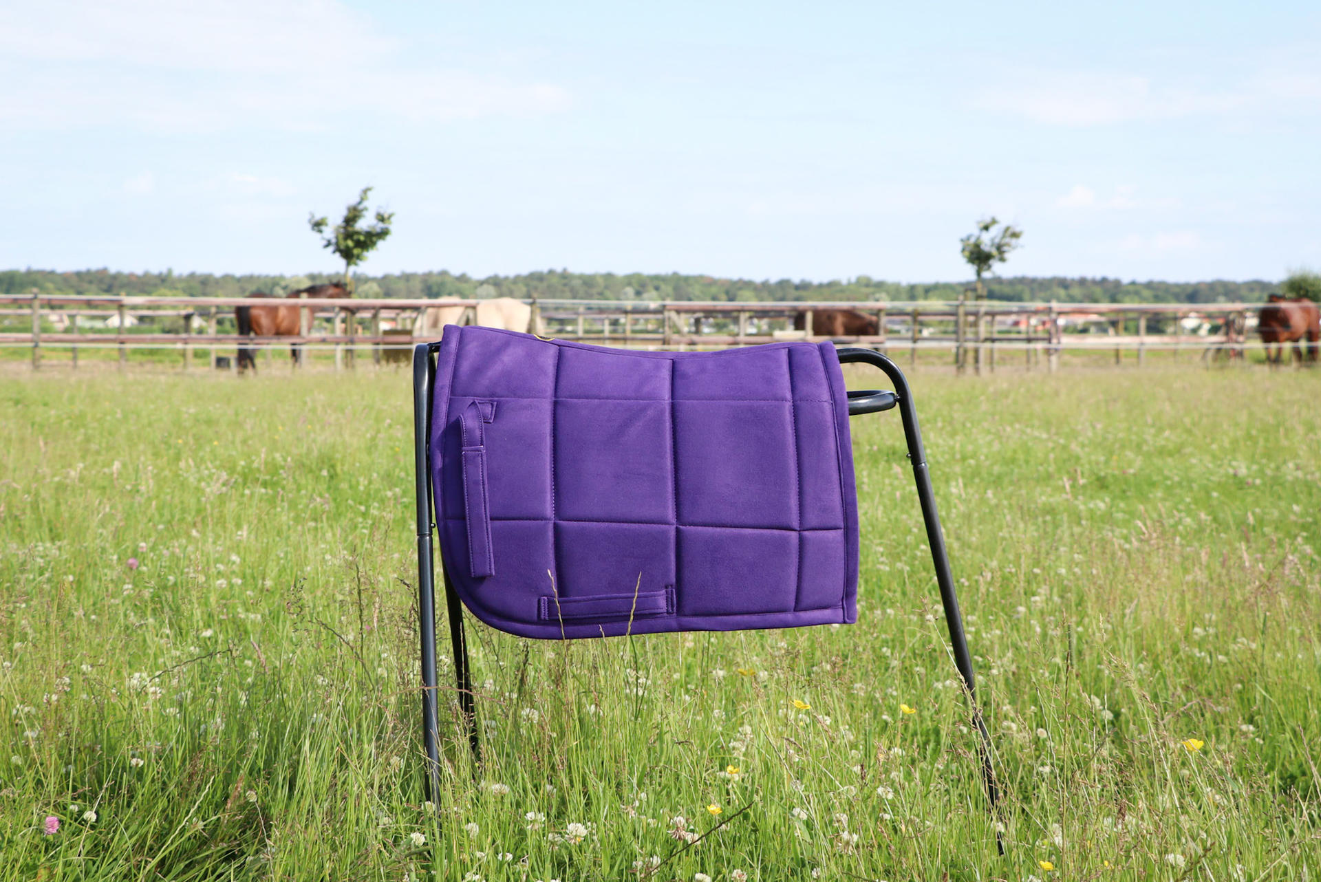 Saddle pads for Shetland pony